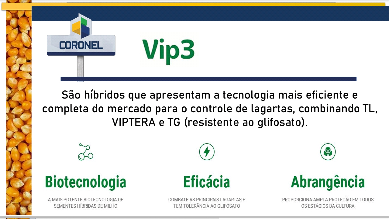 Coronel VIP3 - 3